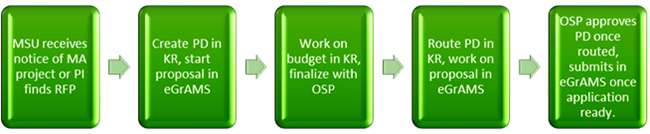 Graphic of the MDHHS process flow.